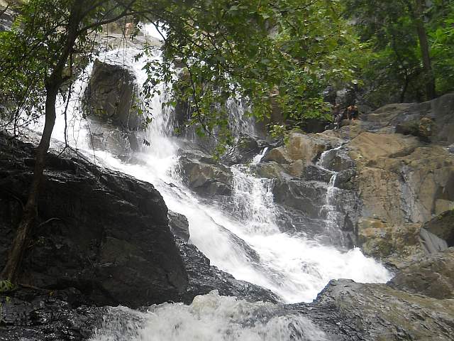 ಹಾಲ್ನೋರೆಯ ಸುಂದರಿ ಈ ಅರಬೈಲ್ ಜೋಗ!