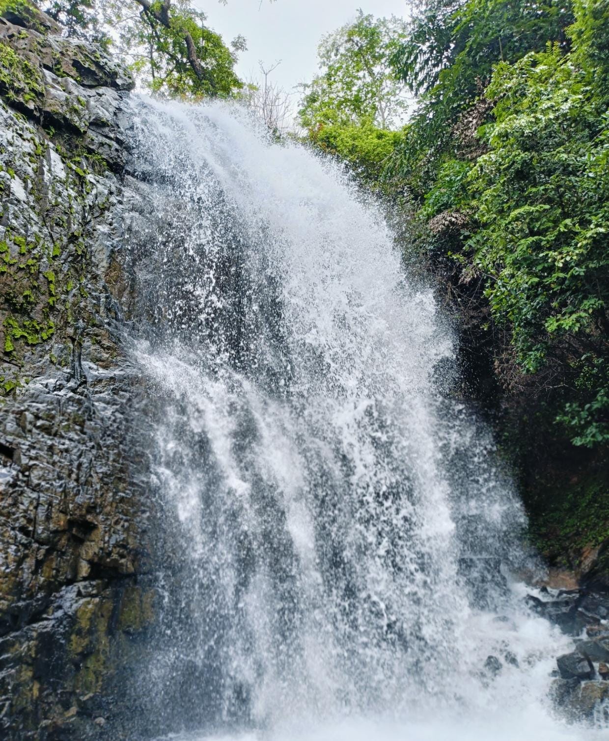 ಮಳೆಗಾಲದ ಮಾನಿನಿ ಈ ಗೋಲಾರಿ ಜಲಪಾತ!