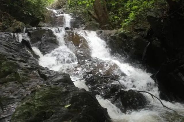 ಈಕೆ ವಡ್ಡಿಯಲ್ಲಿರುವ ಮಾಯಾಂಗನೆ!