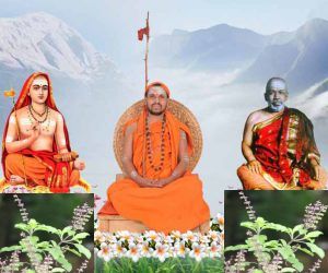 Sondha | ದೇಶಕ್ಕಾಗಿ ತುಳಸಿ ದಳ: ಸೋಂದಾ ಶ್ರೀಗಳ ಈ ಸೇವೆಗೆ 25 ವರ್ಷ!
