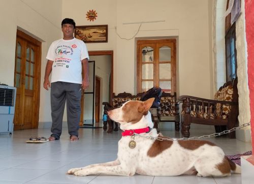 A brave dog who fought against cybercrime!