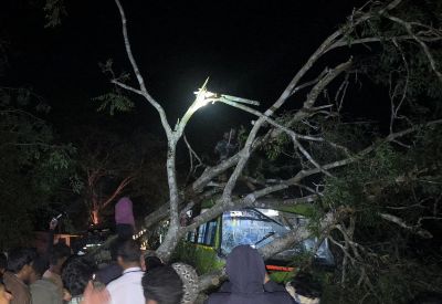A huge tree fell on a bus!