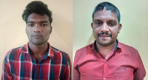 Beef for wedding Arrest of miscreants who killed pregnant cow!