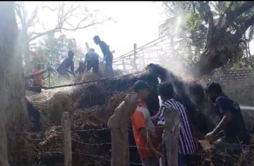Fire disaster No water no fodder for the cattle!
