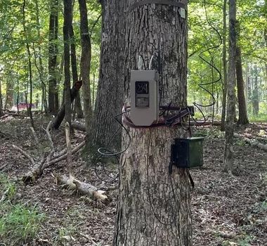 Forest camera belonging to thieves Hindrance to tiger census!