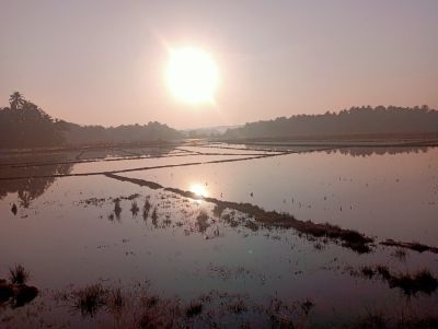 Trouble caused by incomplete work Farmers' crops are destroyed due to the carelessness of the officer!