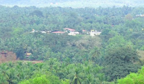 ದೊಡ್ಡ ಕಾಡು ರಕ್ಷಿಸಿದ ಸಣ್ಣ ಊರು!