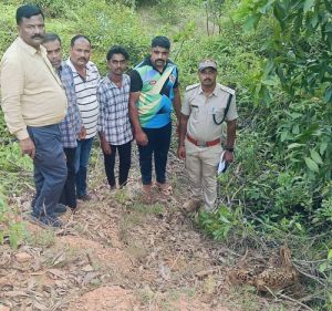 Leopard dies after being electrocuted
