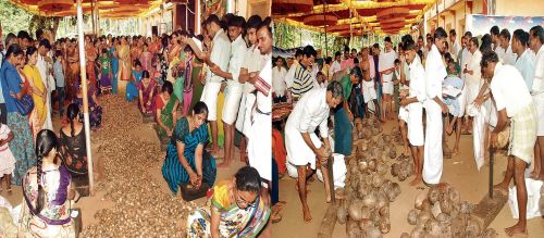 ಸ್ವರ್ಣವಲ್ಲಿ | ಶ್ರೀಗಳ ನಡಿಗೆ ಕೃಷಿಯ ಕಡೆಗೆ!
