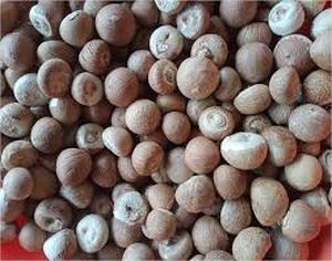 Threat of thieves: Conservation is the challenge for areca nut growers!