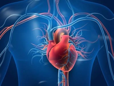 HESCOM staff suffers heart attack: Yama doesn't even give them time for lunch!