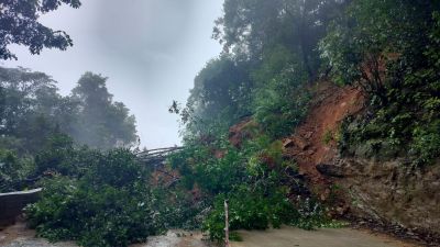 Devimane Ghat Hillside landslide causes death of trees and endangers traffic