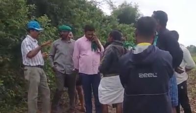 Forest officer apologizes for tractor running over planted tree