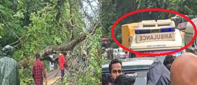 Tree falls on highway Ambulance rescues patients