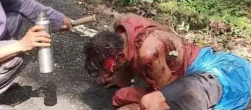 Wild animal approaches house Deadly attack on fence builder