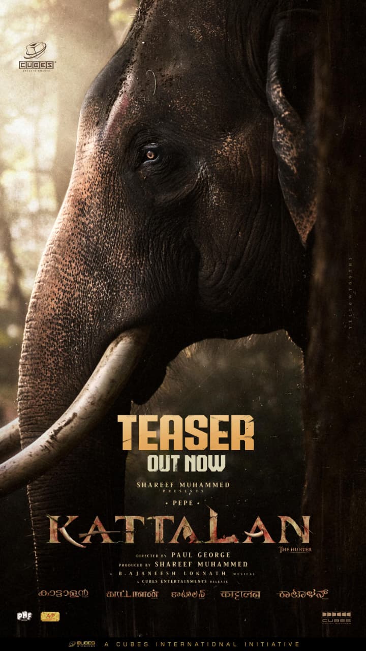 *ಮಲೆಯಾಳಂ ಚಿತ್ರ ಕಟ್ಟಾಲನ್ ಮೇ 14 ರಂದು ಬಿಡುಗಡೆ